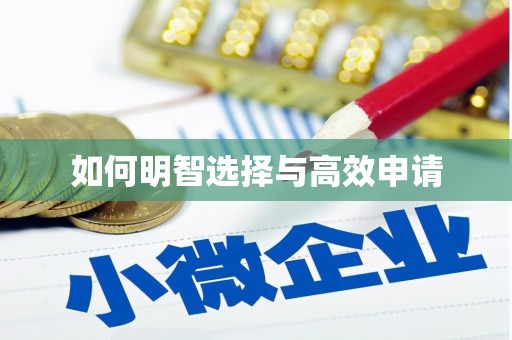 南安如何明智选择与高效申请