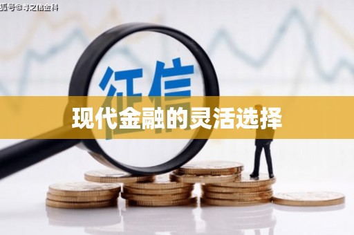 南安现代金融的灵活选择