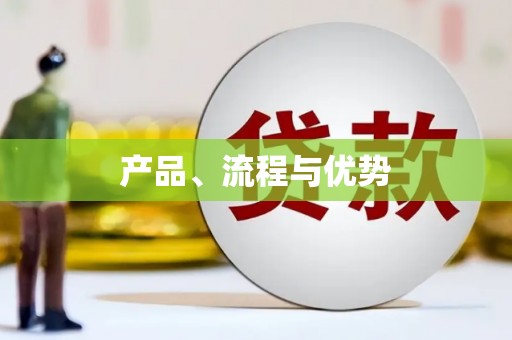 南安产品、流程与优势