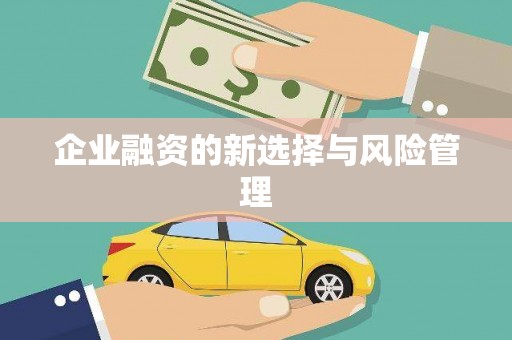 南安企业融资的新选择与风险管理