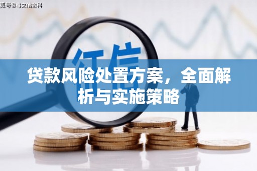 南安贷款风险处置方案，全面解析与实施策略