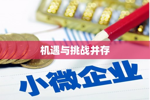 南安机遇与挑战并存