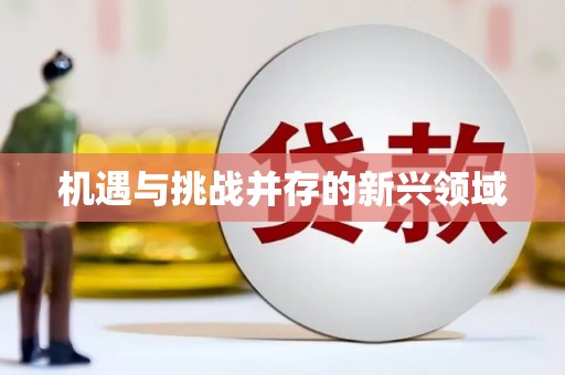 南安机遇与挑战并存的新兴领域