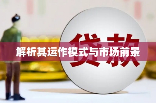 南安解析其运作模式与市场前景