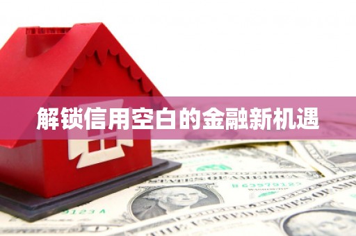 南安解锁信用空白的金融新机遇