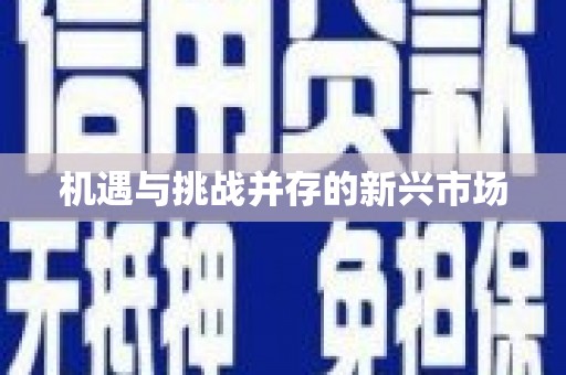 南安机遇与挑战并存的新兴市场