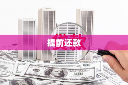 南安提前还款