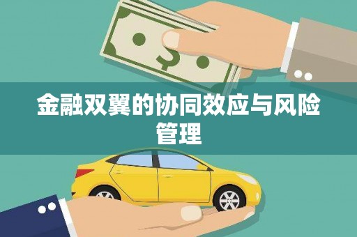 南安金融双翼的协同效应与风险管理