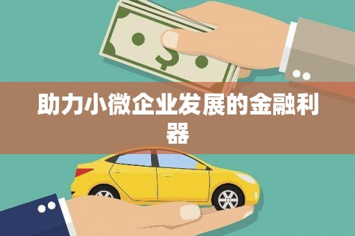 南安助力小微企业发展的金融利器