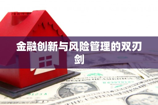南安金融创新与风险管理的双刃剑
