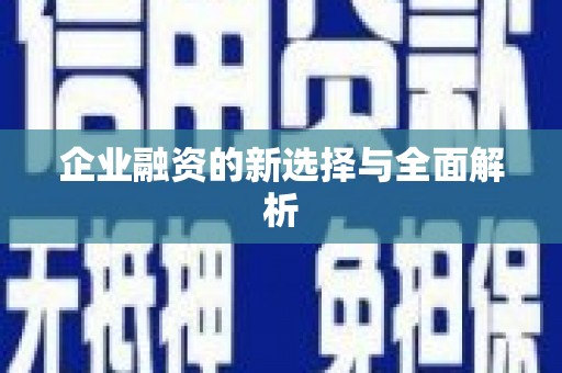 南安企业融资的新选择与全面解析