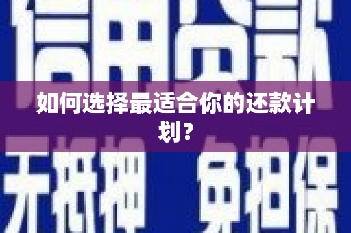南安如何选择最适合你的还款计划？