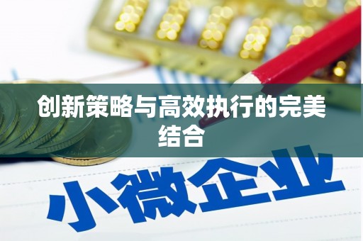 南安创新策略与高效执行的完美结合