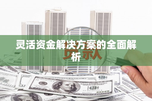 南安灵活资金解决方案的全面解析