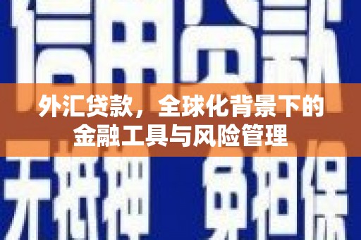 南安外汇贷款，全球化背景下的金融工具与风险管理