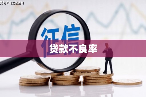 南安贷款不良率