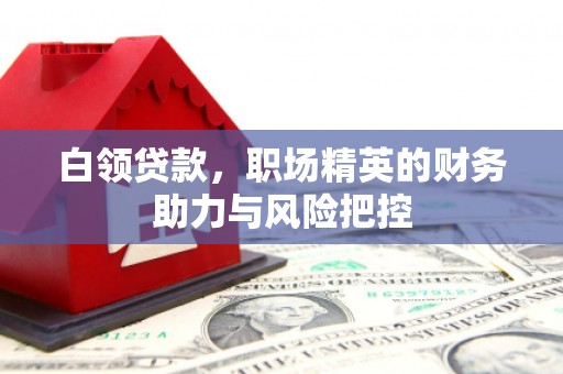 南安白领贷款,职场精英的财务助力与风险把控 南安白领贷款,职场精英的财务助力与风险把控