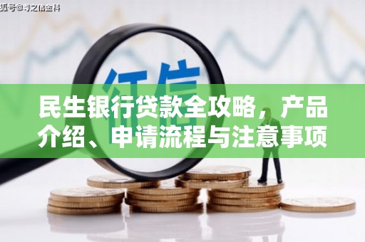 南安民生银行贷款全攻略，产品介绍、申请流程与注意事项